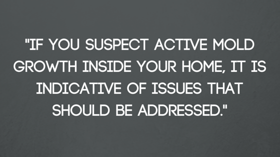 Active mold growth is indicitive of issues that should be addressed