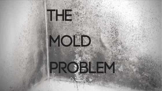 How-To: Take Care of a Mold Problem in Your Home