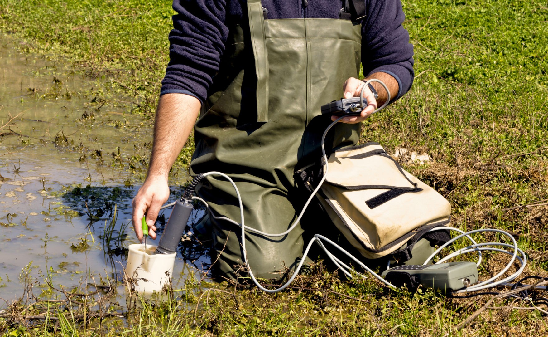 water quality testing