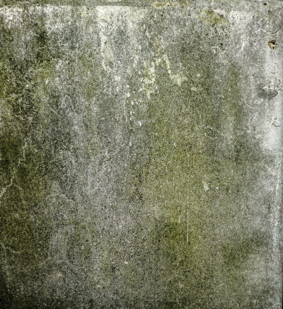 Mold