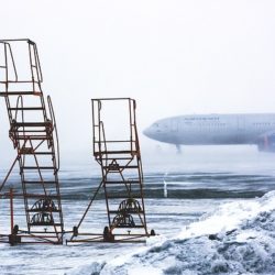 platform ladder