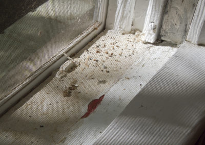 Asbestos Containing Building Materials & Lead Paint Surveys