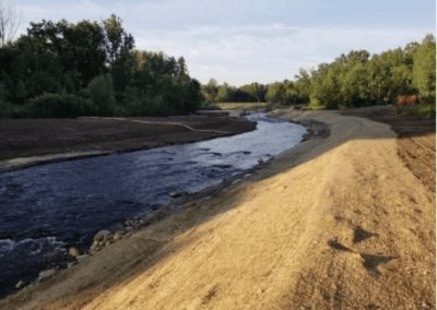 Large Woody Debris Design and Installation